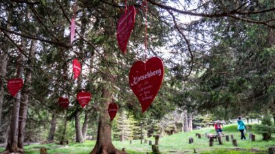 Die Kuschalalm vom Wanderhotel Das Katschberg in Kärnten, Österreich© Carolin Thiersch