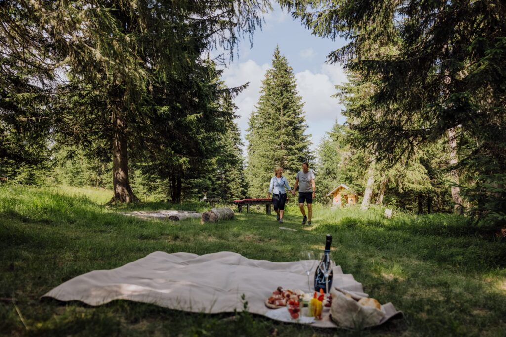 Picknick auf der Kuschalalm vom Wanderhotel Das Katschberg in Kärnten, Österreich