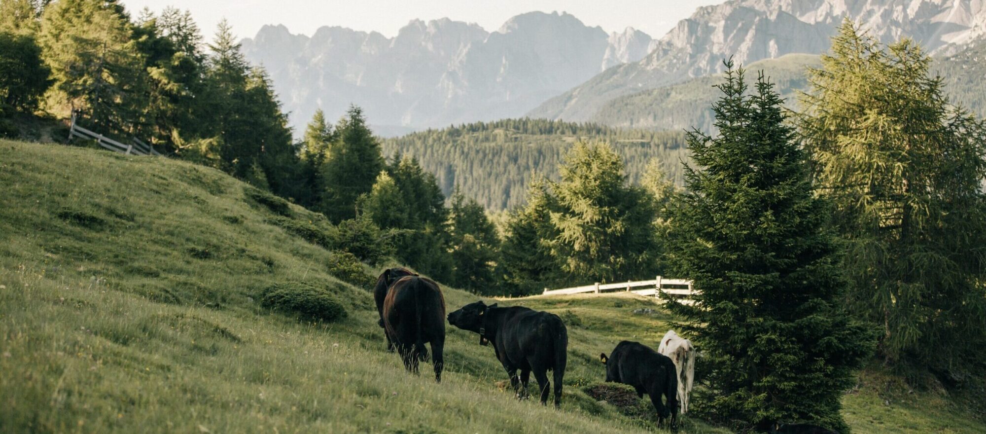 Green Holidays mit den Wanderhotels
