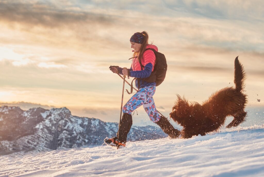 Winterwandern mit Hund