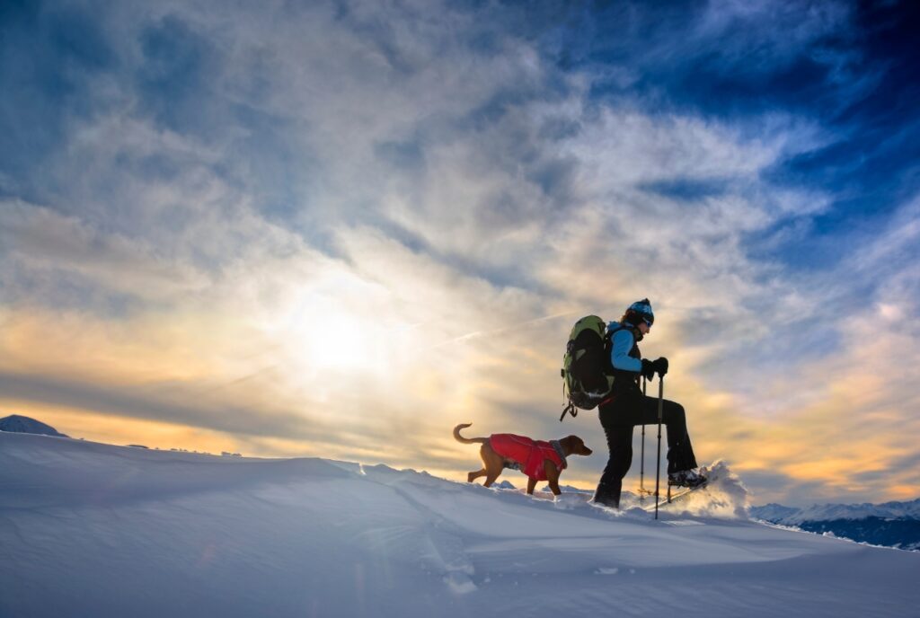 Winterwandern mit Hund
