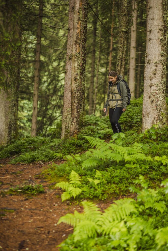 Wald im Frühling bei einer Wanderung mit dem Wanderführer des Wanderhotels Glemmtalerhof