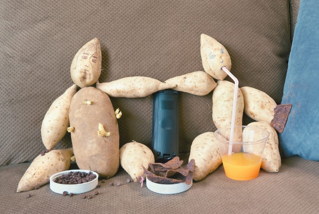 zwei aus Kartoffeln gemachte Menschen sitzen als Couchpotatoes auf einem Sofa