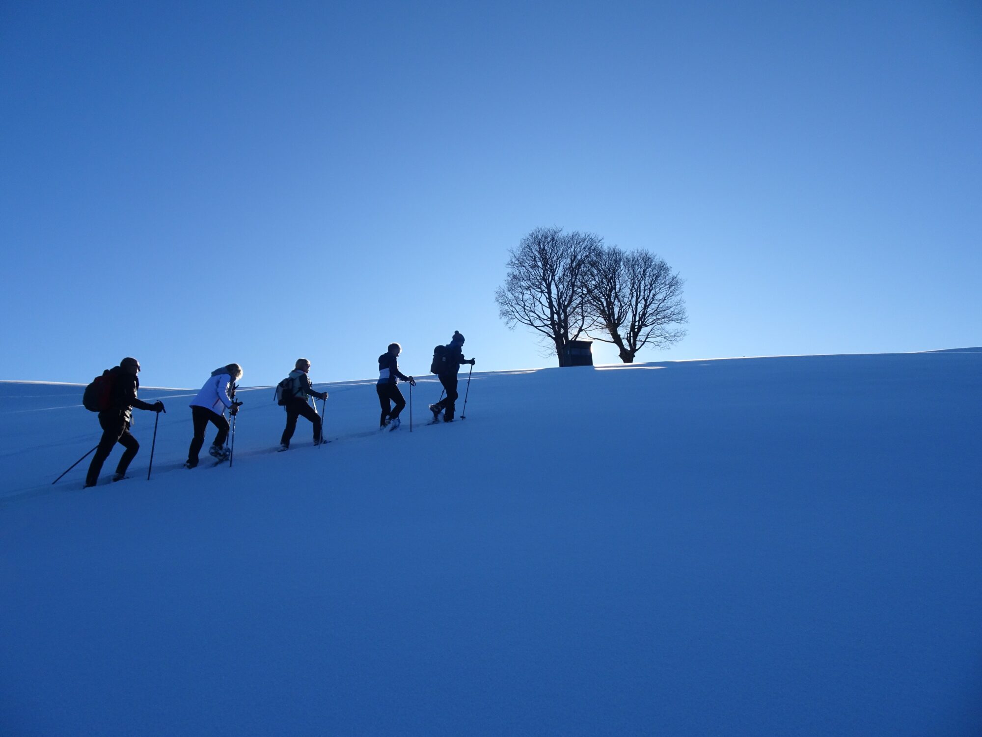 Schneeschuhwandern: Erlebnisberichte aus dem Wanderhotel Kirchner