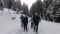 Schneelandschaft bei geführter Schneeschuhwanderung vom Wanderhotel Kirchner in Bramberg, Österreich© Wanderhotel Kirchner