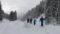 Schneelandschaft bei geführter Schneeschuhwanderung vom Wanderhotel Kirchner in Bramberg, Österreich© Wanderhotel Kirchner