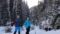 Schneelandschaft bei geführter Schneeschuhwanderung vom Wanderhotel Kirchner in Bramberg, Österreich© Wanderhotel Kirchner