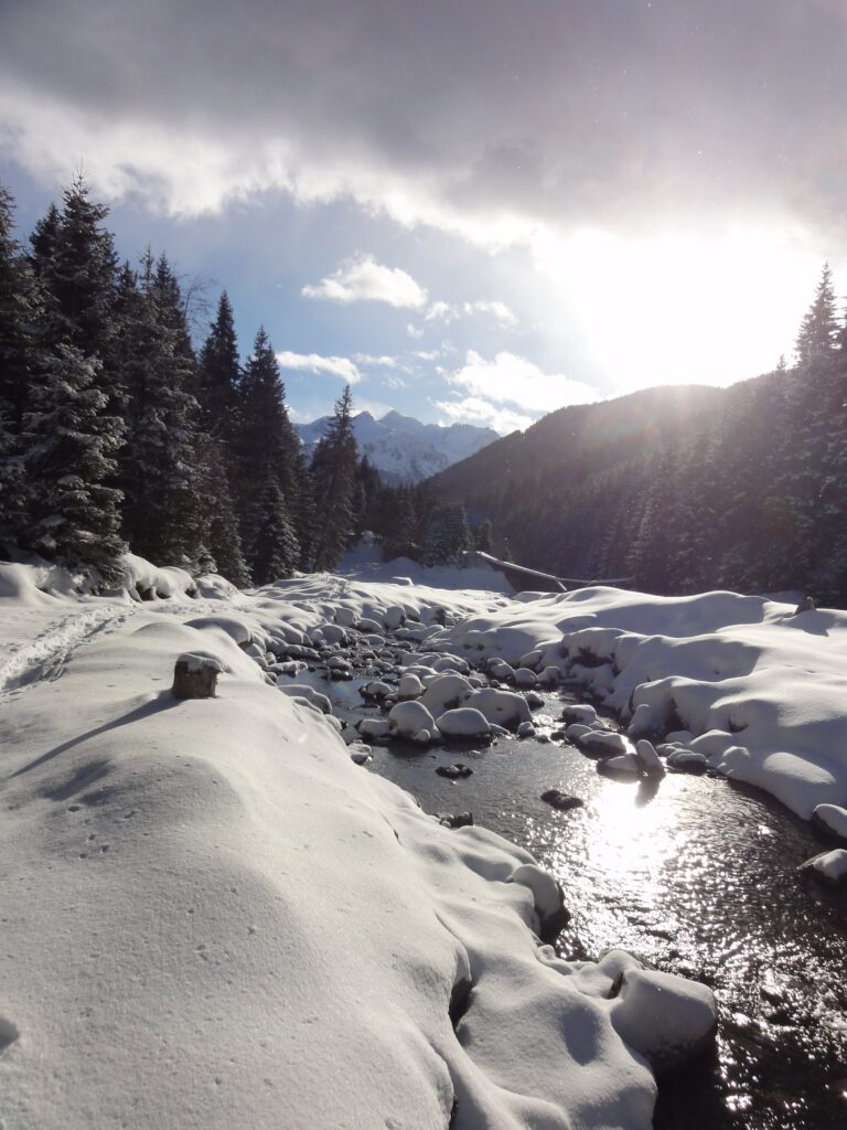Schneelandschaft bei geführter Schneeschuhwanderung vom Wanderhotel Kirchner in Bramberg, Österreich