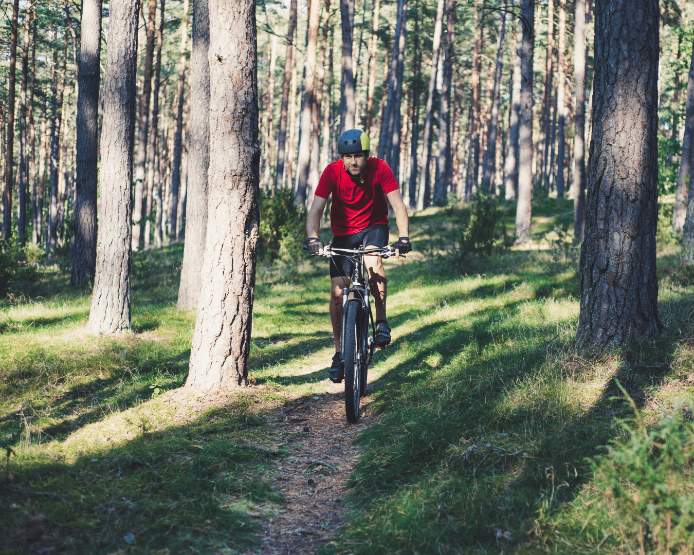 Ein Mountainbike-Urlaub im Schwarzwald ist Unterhaltung für Groß und Klein.