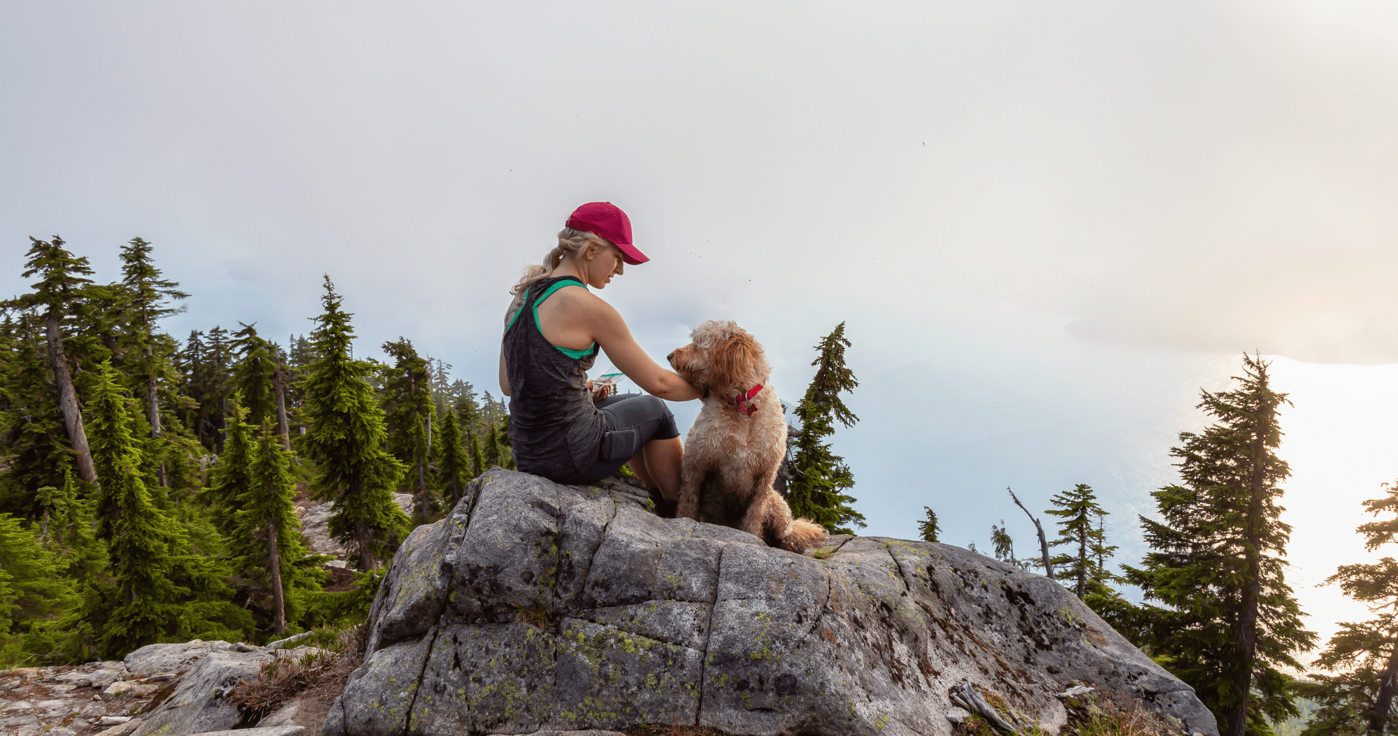 Wanderurlaub mit Hund in Deutschland - dein vierbeiniger Begleiter auf allen Wegen.