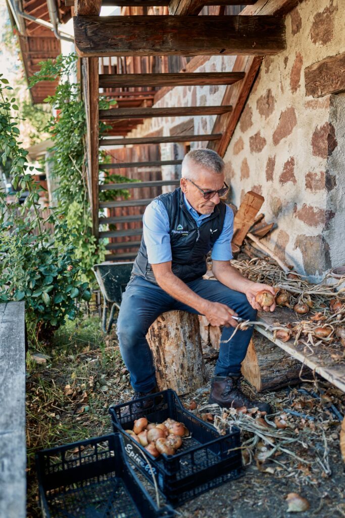 Stefan Fauster vom Wanderhotel Drumlerhof erntet Zwiebeln für nachhaltige Bioküche
