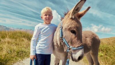 Eine Eselwanderung, also Unternehmungen mit Kindern, bietet das Wanderhotel Sonnalp an.© Hotel Sonnalp