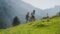Im Gaistal wandern, kannst du mit den Bergprofis vom Wanderhotel Biohotel Leutascherhof.© Region Seefeld