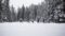 Laufen im Winter? Rund um das Wanderhotel Leutascherhof ergeben sich gute Möglichkeiten.© Region Seefeld