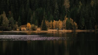 Wandern um den Prebersee im Salzburger Land bei einer geführten Tour mit dem Wanderhotel Steffner-Wallner© Cam Poetry