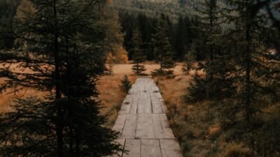 Herbstwanderung um den Prebersee im Salzburger Land bei einer geführten Tour mit dem Wanderhotel Steffner-Wallner© Cam Poetry